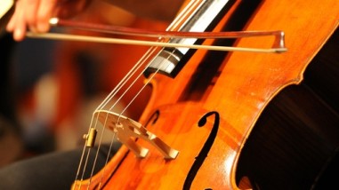 cello-instrument-streicher-100_v-image512_-6a0b0d9618fb94fd9ee05a84a1099a13ec9d3321